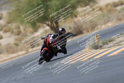 media/May-14-2023-SoCal Trackdays (Sun) [[024eb53b40]]/Turn 5 Tree of Life (1125am)/